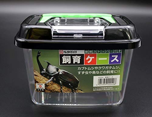 OTSUMAMI TOKYO observation reptiles et lézards – terrarium robuste et fiable.