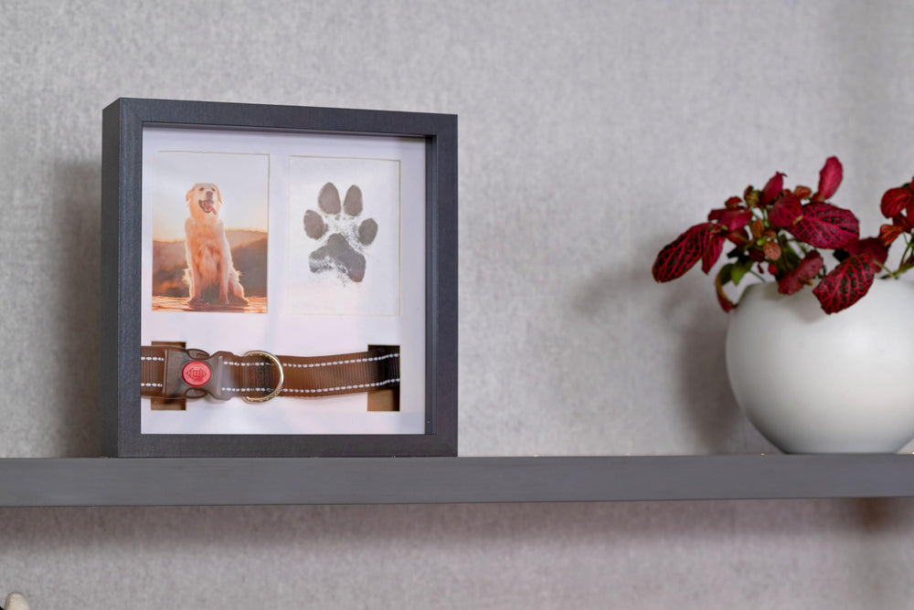OtterPets cadeau deuil chien: geste réconfortant et personnel
