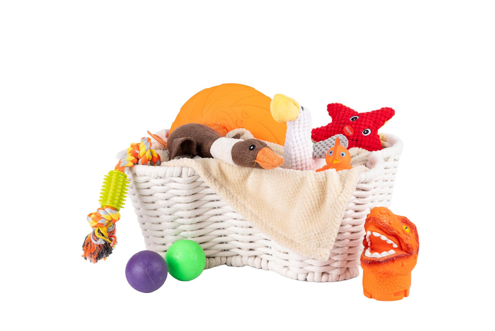 OtterPets Dimensions-17x13-pouces : taille pratique pour plusieurs jouets sans encombrement.