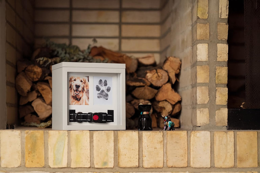 Ensemble mémoire OtterPets complet pour un memorial personnalisé
