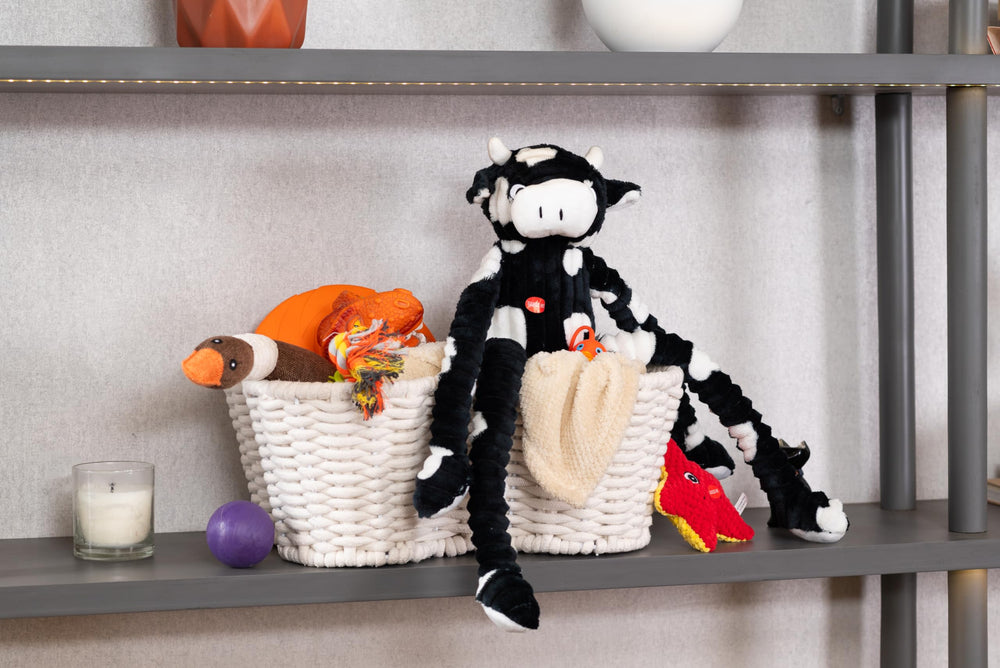 OtterPets Forme-os-decoratif : panier os décoratif qui réduit le désordre.