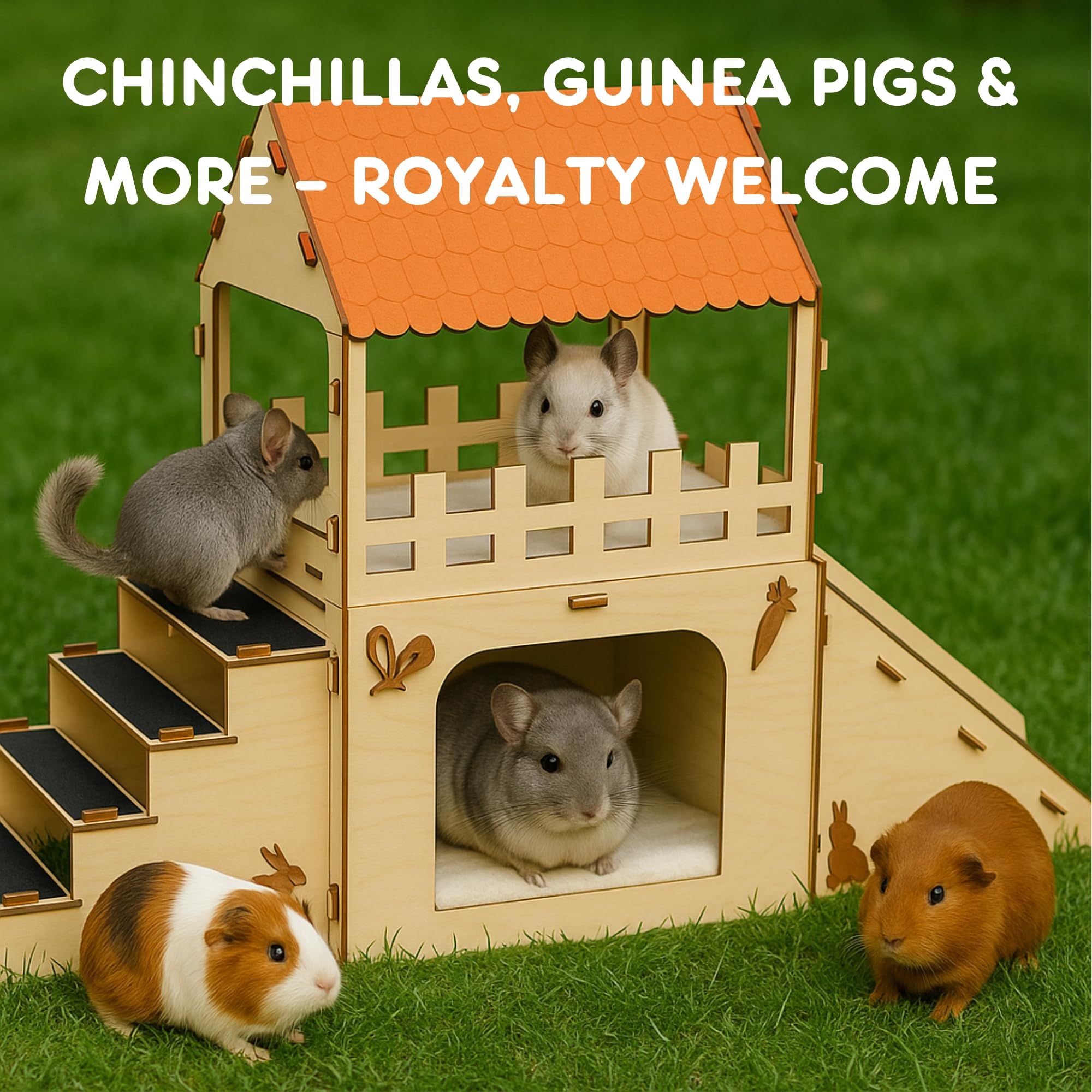 OtterPets habitat petits animaux bois : adapté lapins chinchillas cobayes