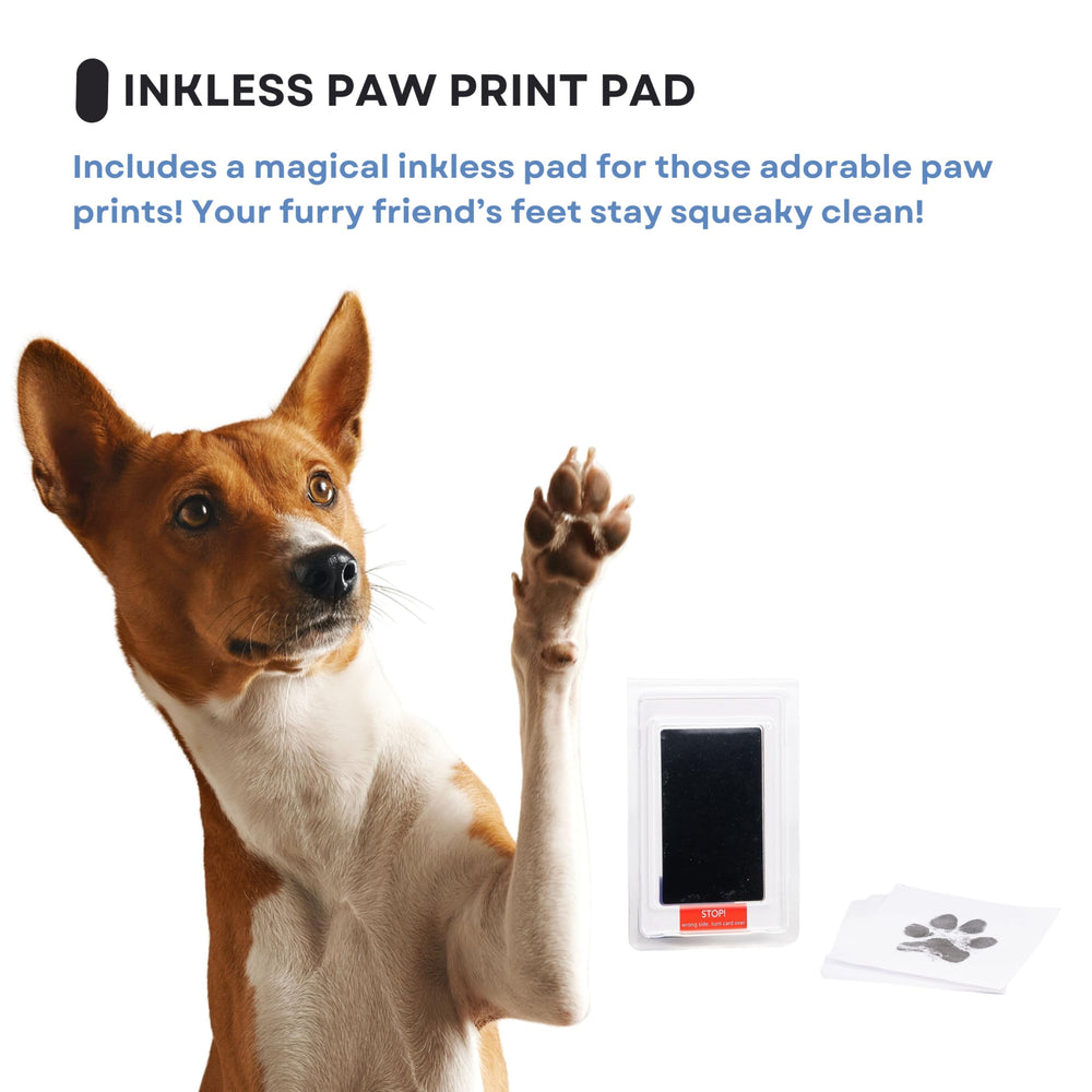 OtterPets inclusion collier empreinte museau pour hommage unique.