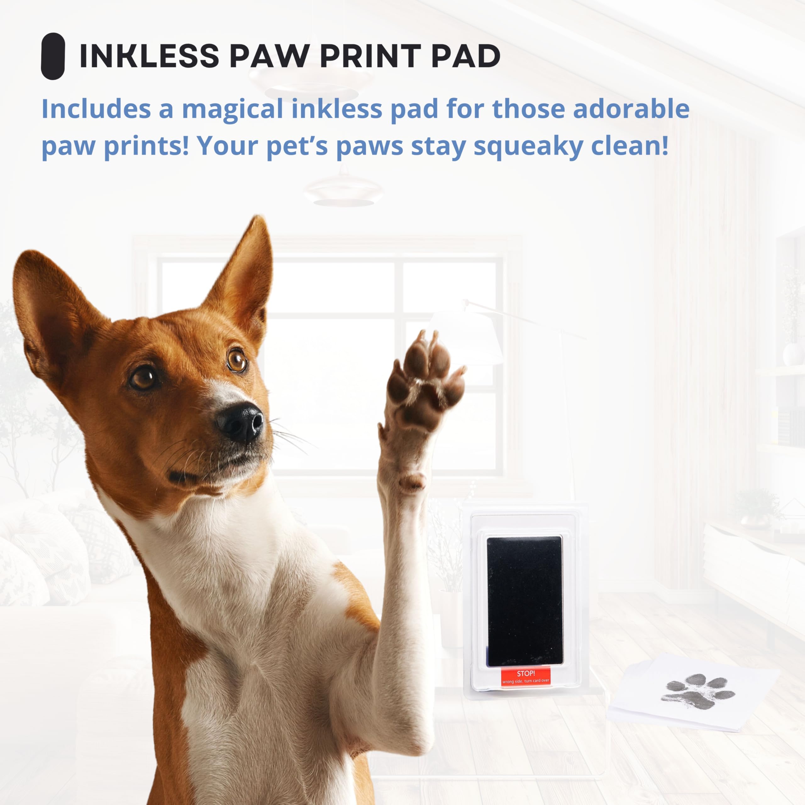 OtterPets quatre mats: options d’affichage personnalisables