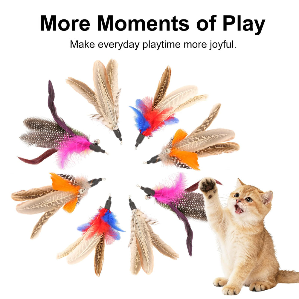 Ottmat refils plumes colorées favorisent l'interaction et l'exercice en intérieur.