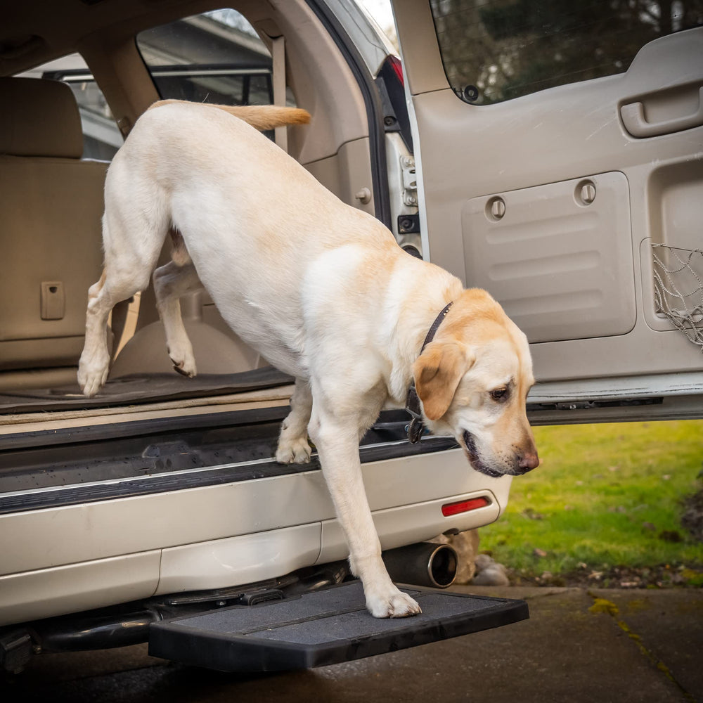 Otto Step: plateforme 18x16 pour aider le chien à monter dans le véhicule.