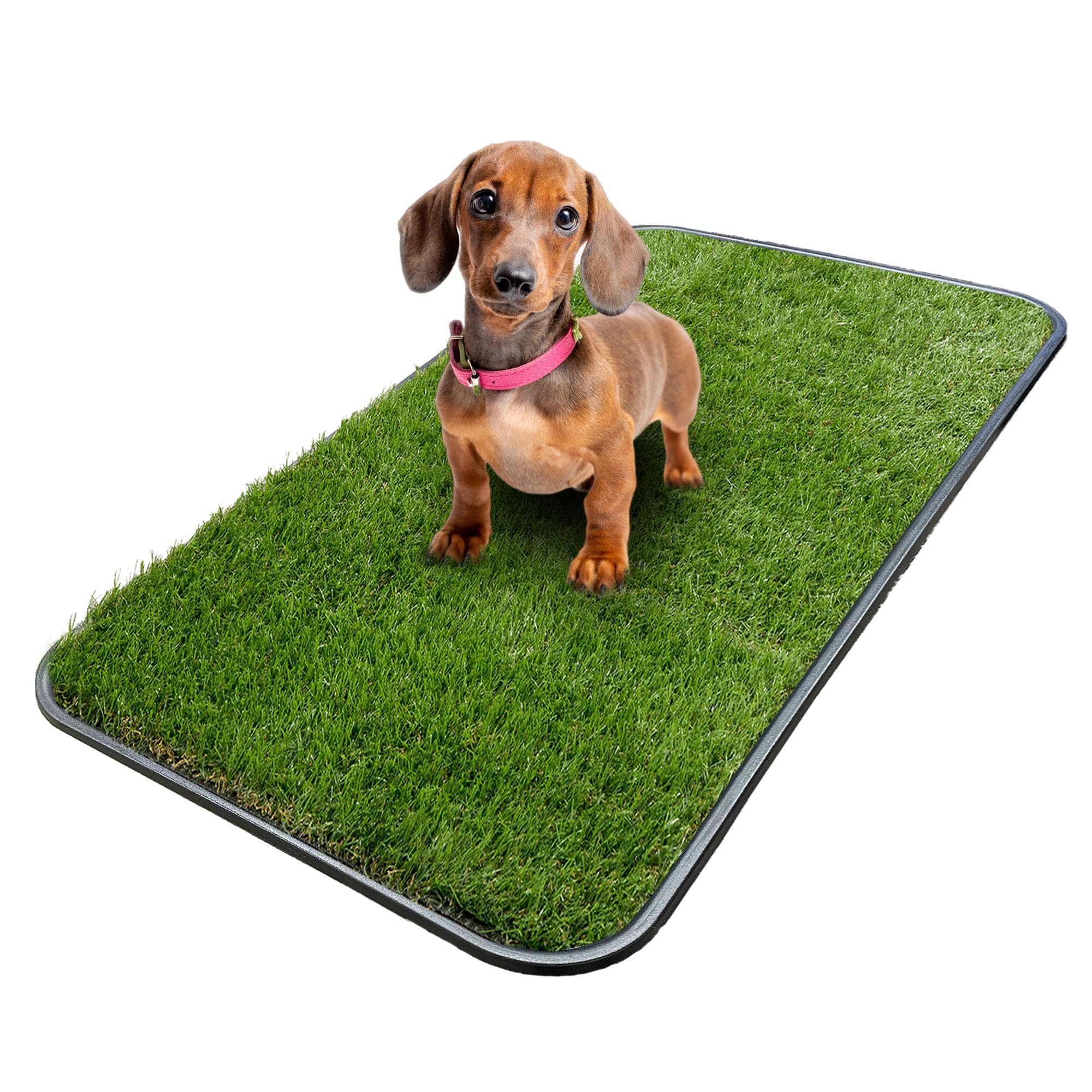 Ottomanson plateau et tapis d'herbe artificielle pour petit chien, entraînement pratique.