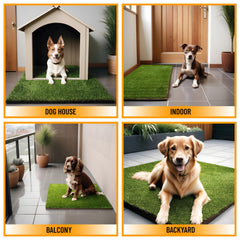 Ottomanson confort chiot sur tapis herbe artificielle pour séances de toilette.