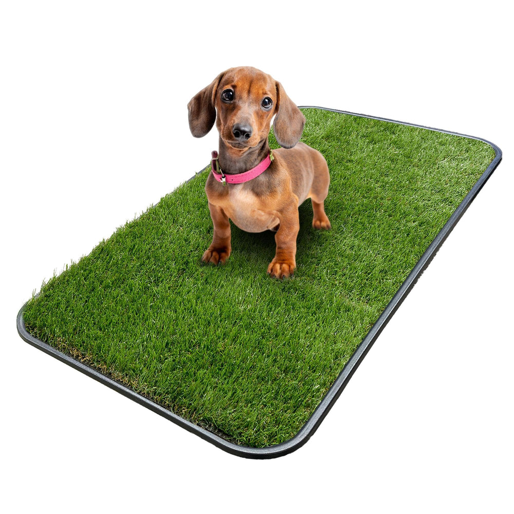 Ottomanson gazon artificiel pour chiots avec bac, pratique et réutilisable.