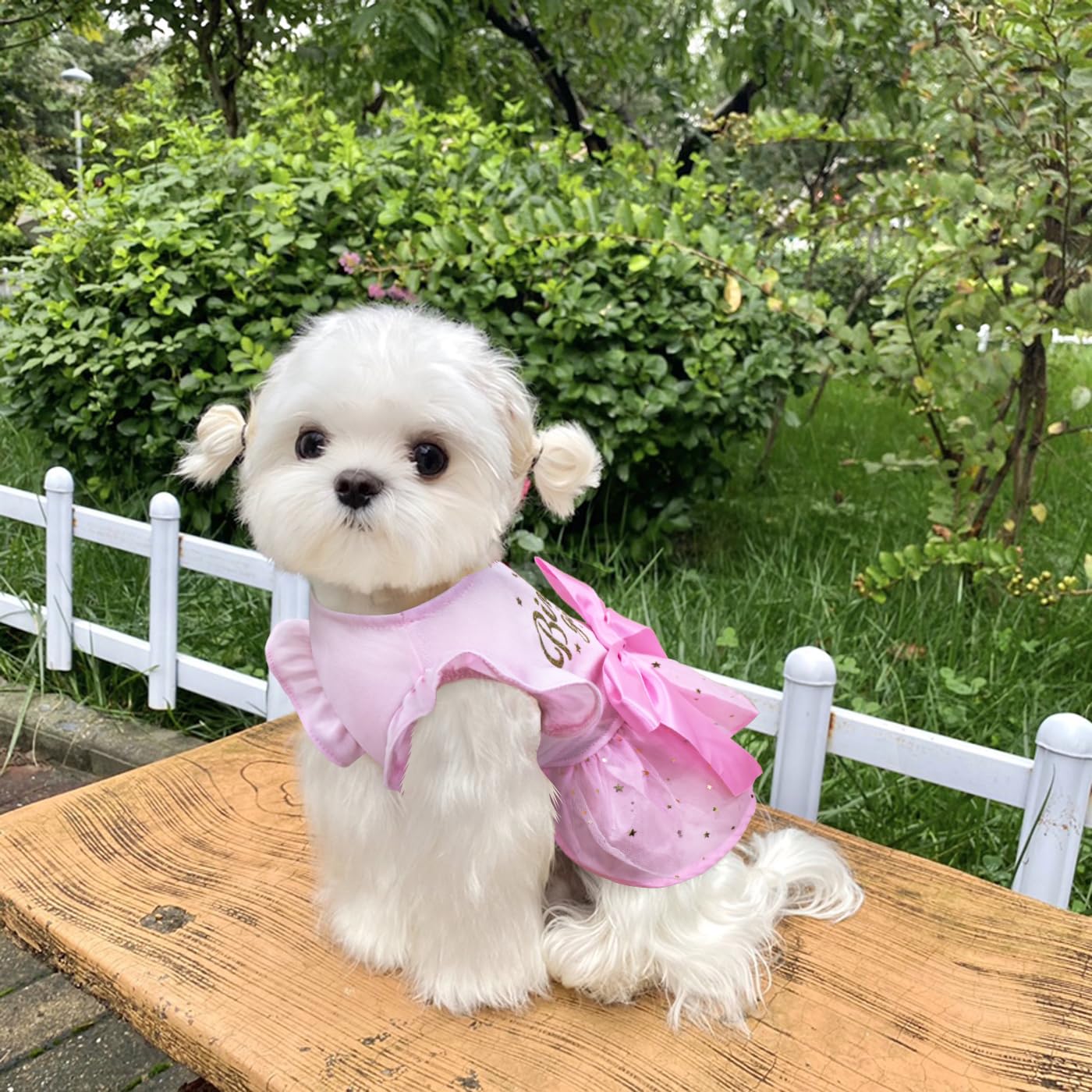 Tissu coton doux de la robe Otunrues pour chien, confort quotidien.