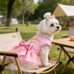 Texture tulle rose doux et léger sur robe Otunrues pour chien.