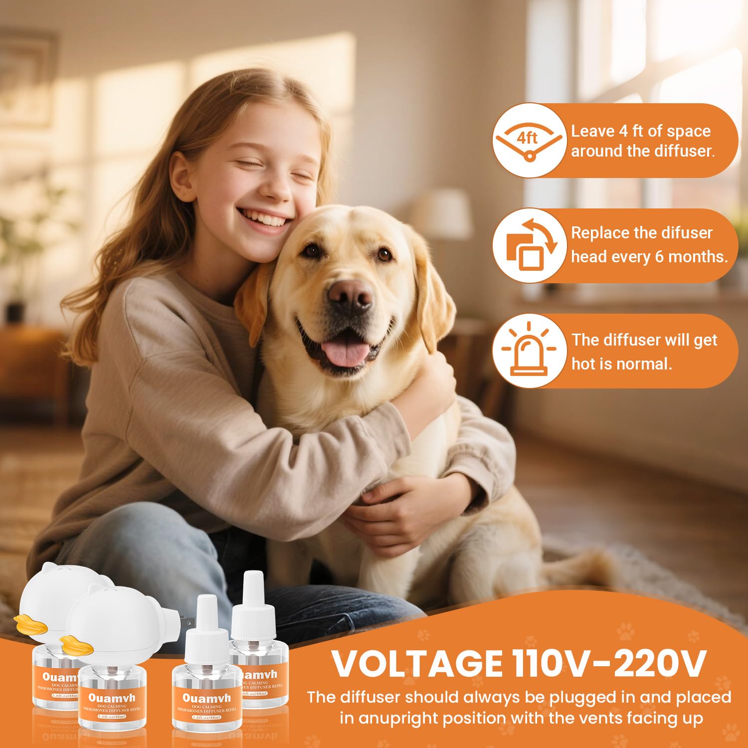Ouamvh diffusion discrète dans le salon, chien plus détendu
