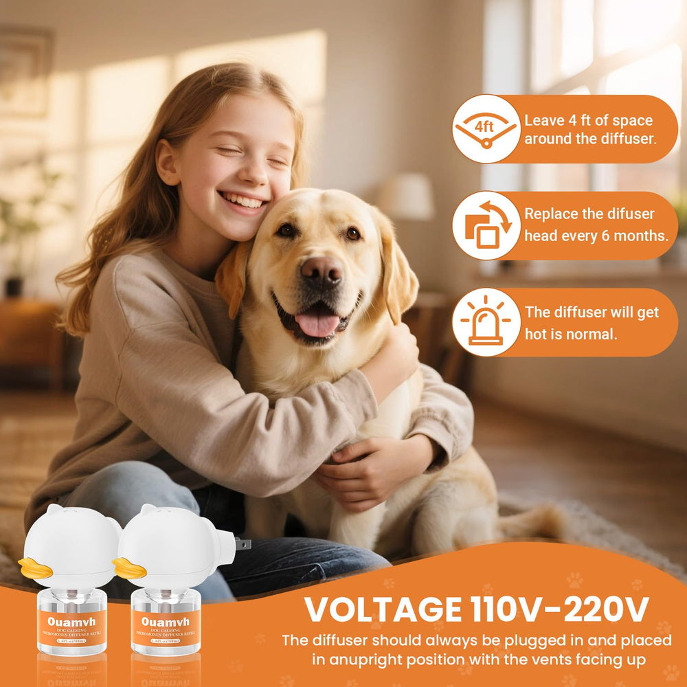 Lumière bleue du diffuseur Ouamvh indiquant son fonctionnement pour votre chien.