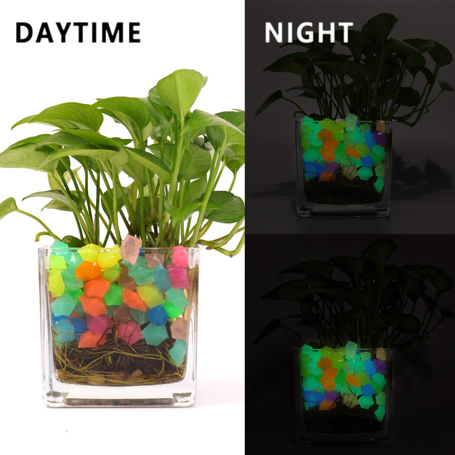 Cailloux fluorescents Oubest pour vase et plante, ambiance lumineuse.