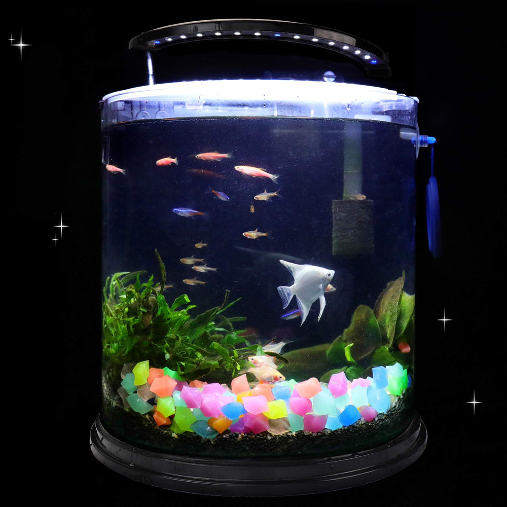 Pierre décorative lumineuse Oubest pour aquariums et pots, polyvalence décorative.