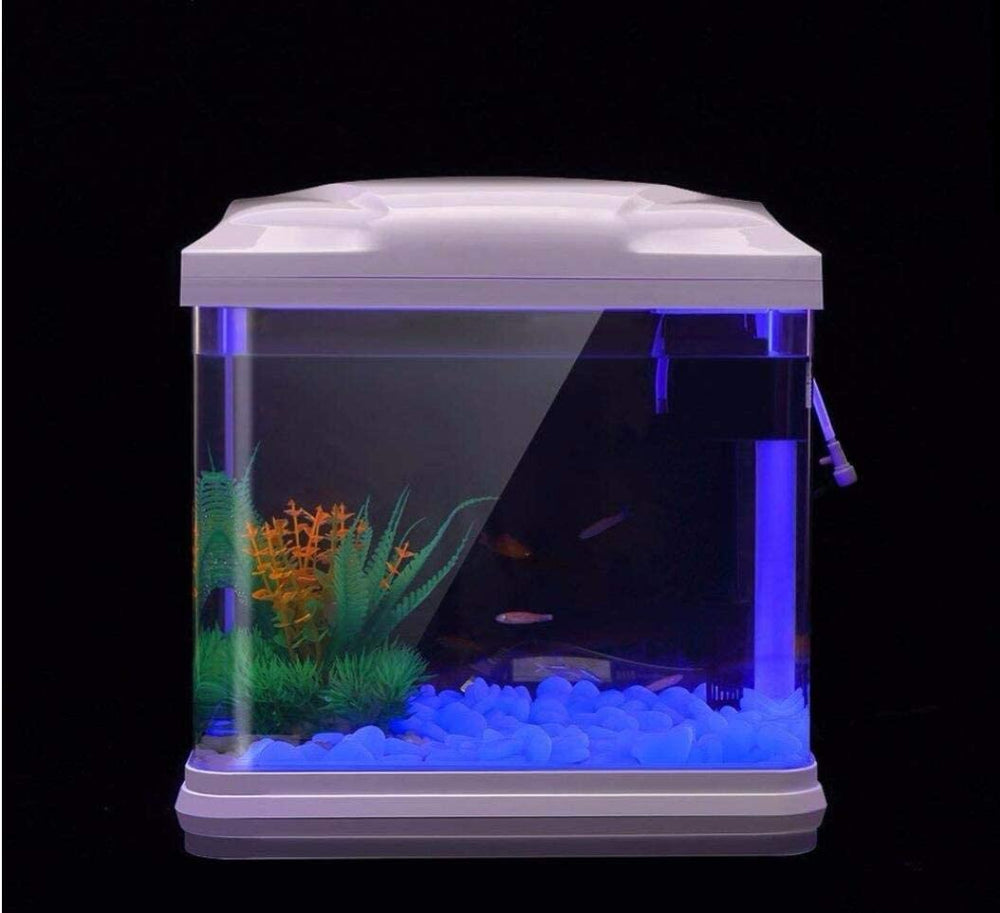 Galet lumineux Oubest bleu pour bonsaï, touche lumineuse subtile.