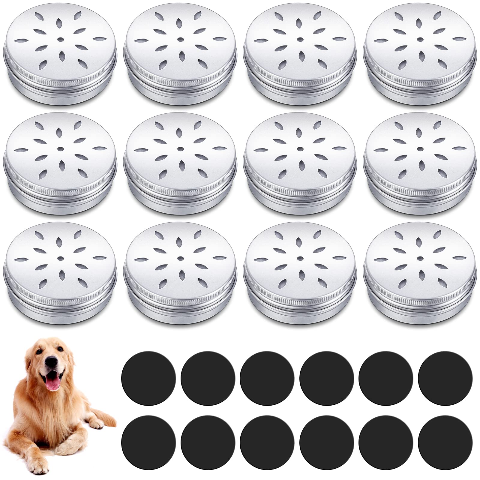 Boîtes Oudain odorat pour chien – ensemble compact pour l'entraînement.