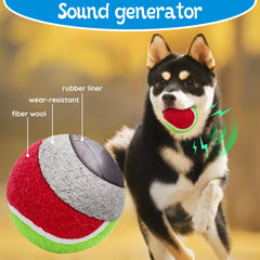 Ousiya balle sifflante, bruit attractif pendant le jeu canin