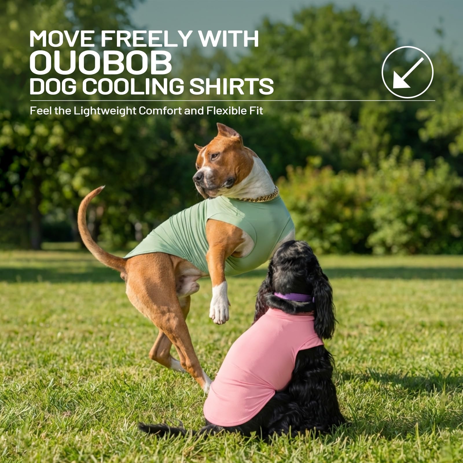 OUOBOB chemise chien protection solaire légère, parfaite pour les balades en plein air.