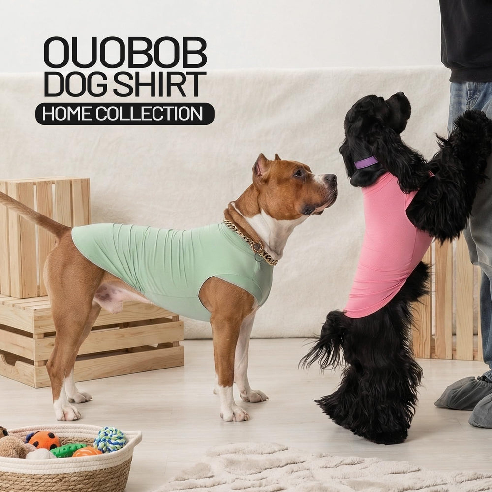 OUOBOB ensemble 2 chemises chien, options assorties pour le lavage et les looks.