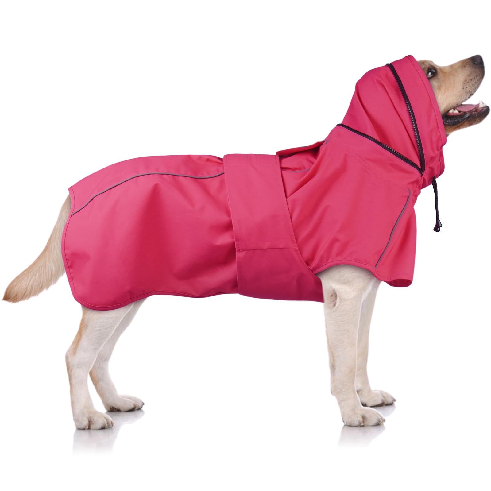 OUOBOB imperméable chien XXL — vue avant, protection contre la pluie lors des promenades.