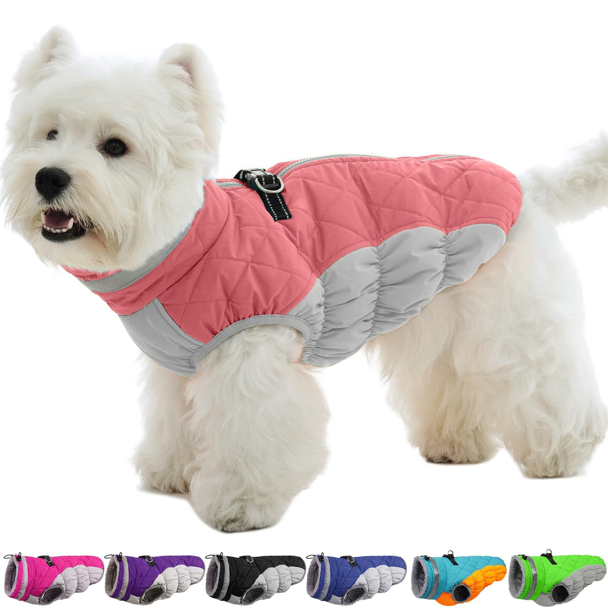 Manteau OUOBOB petit chien, vue dos, imperméable idéal pour la pluie.