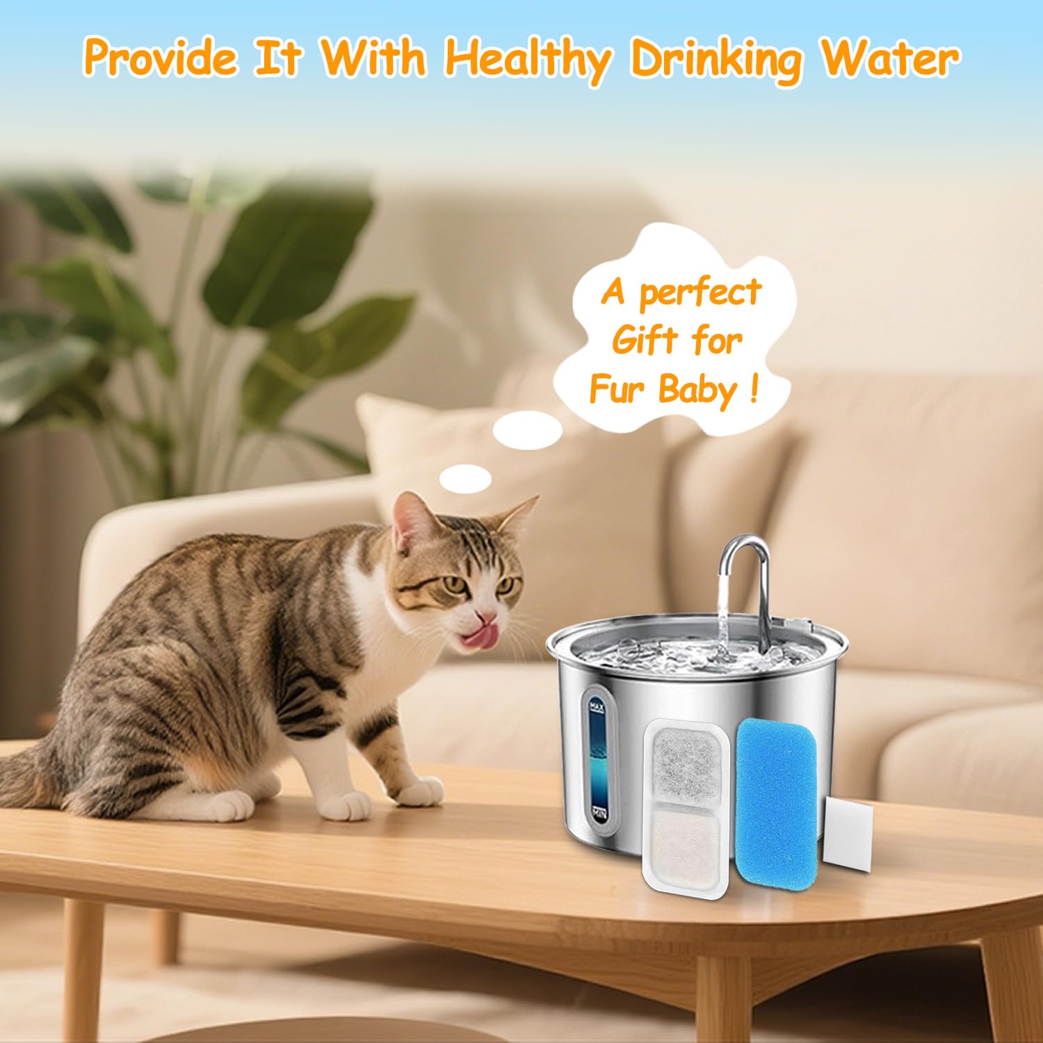 Oupuses PWF001 – solution durable et économique pour l'hydratation des chats