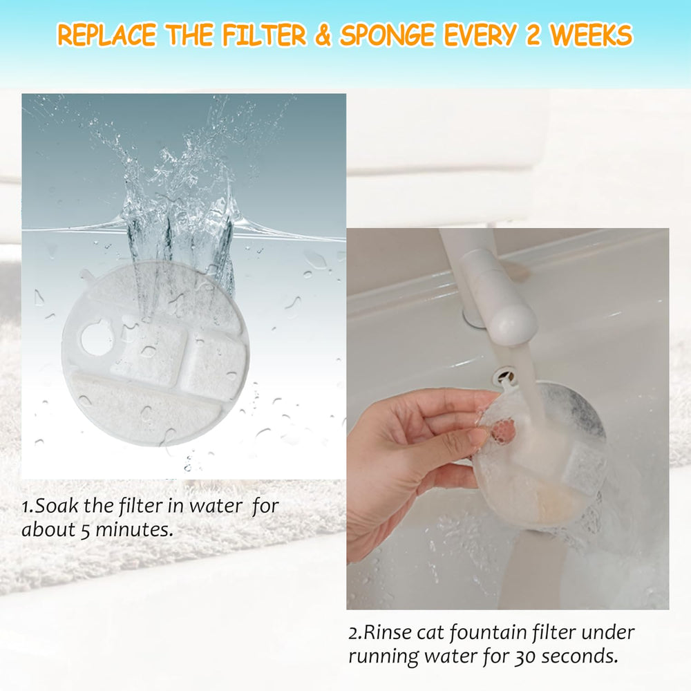 OUPUSES filtre Capsule Dog: entretien simple et remplacement rapide.