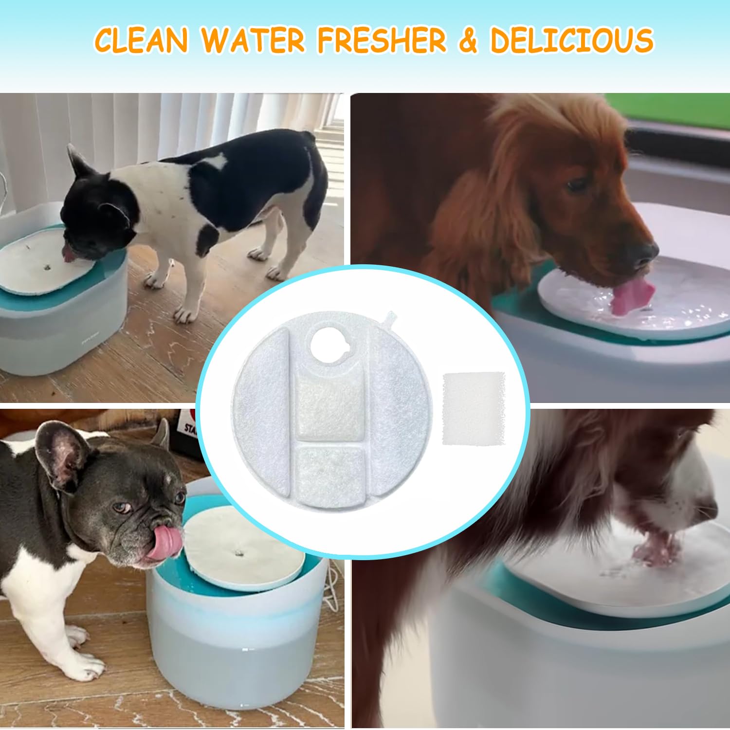 OUPUSES Capsule Dog Fountain: bénéfices potentiels pour hydratation continue.