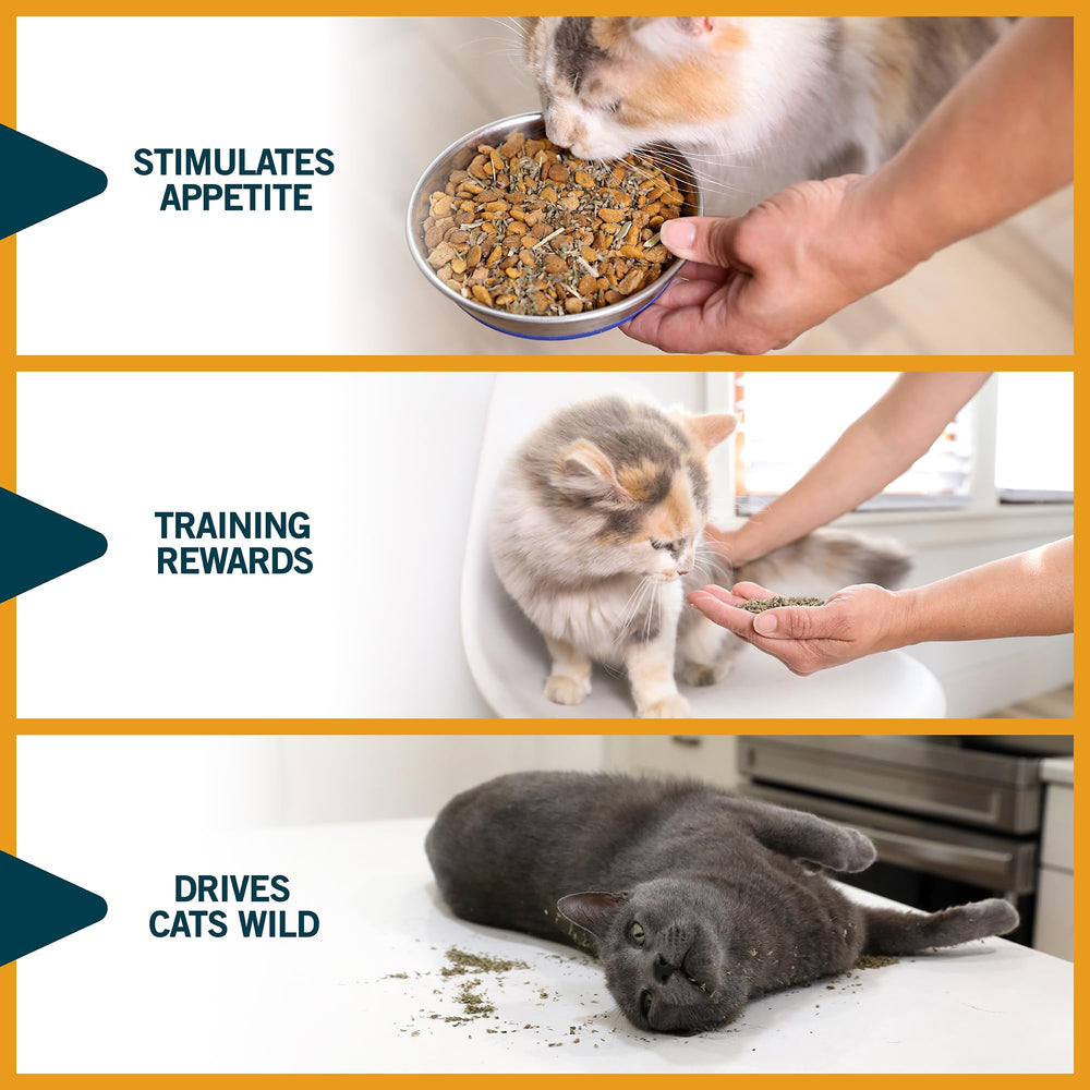 Doseur Our Pets Catnip, portion facile pour le jeu