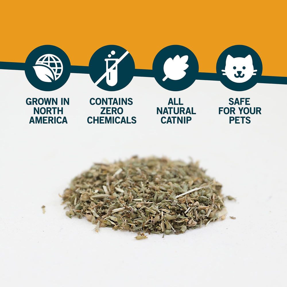 Jouet Our Pets avec catnip, stimulation ludique pour le chat