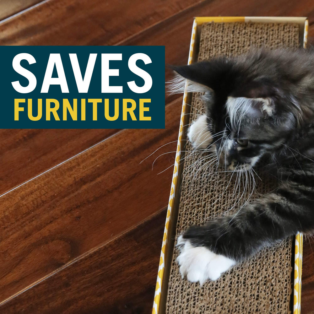 Our Pets – dimensions 18 x 5 x 1,25 pouces.