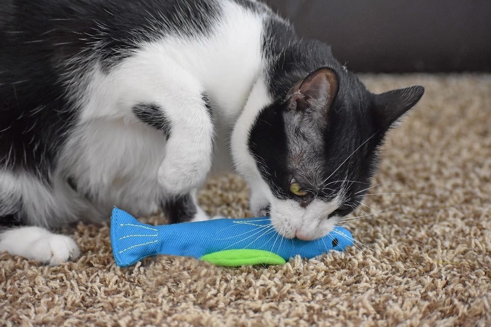 Jouet Our Pets piment catnip rempli apportant un arôme stimulant.