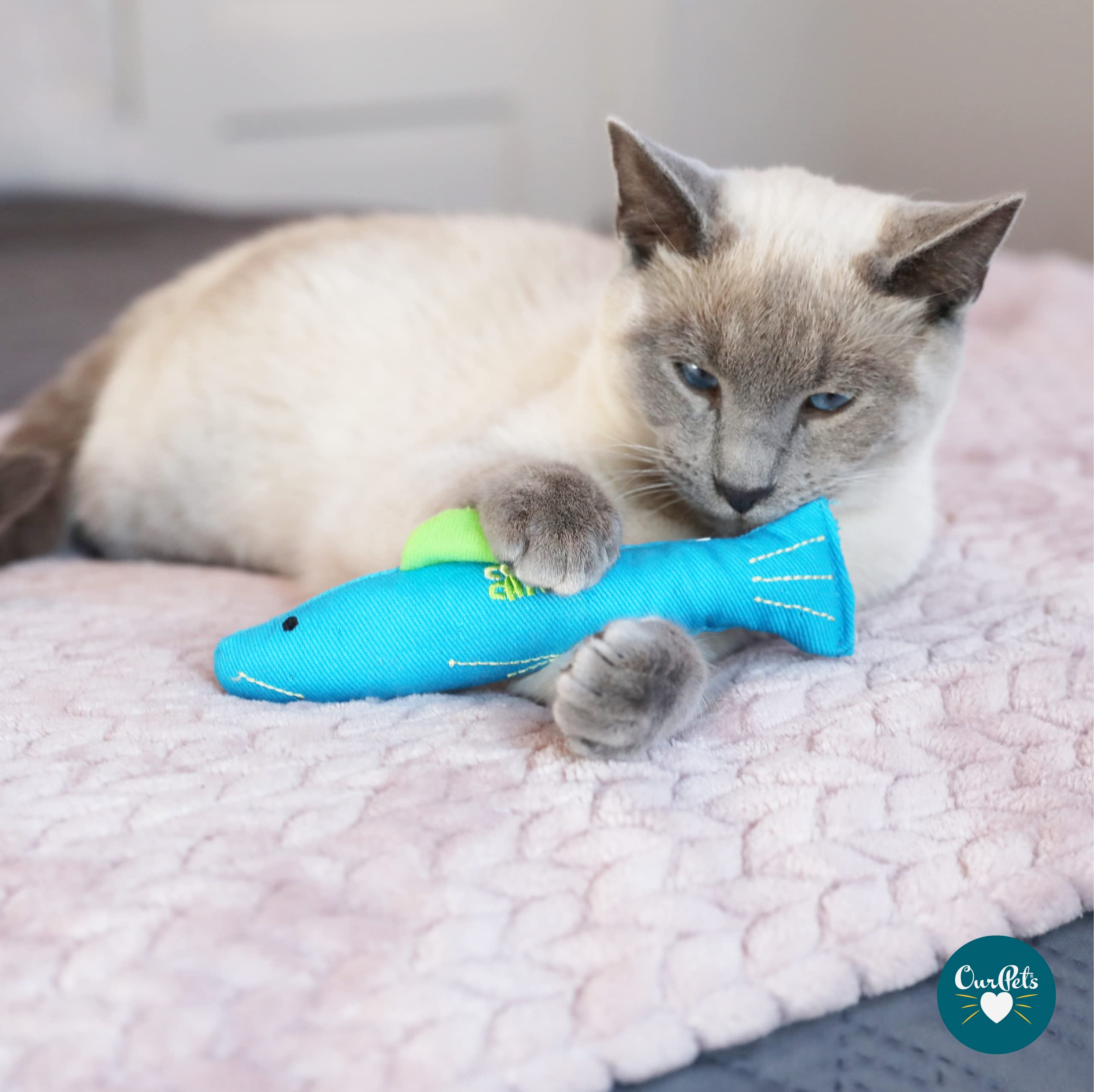 Jouet Our Pets serpent catnip rempli incitant à l’exercice physique.