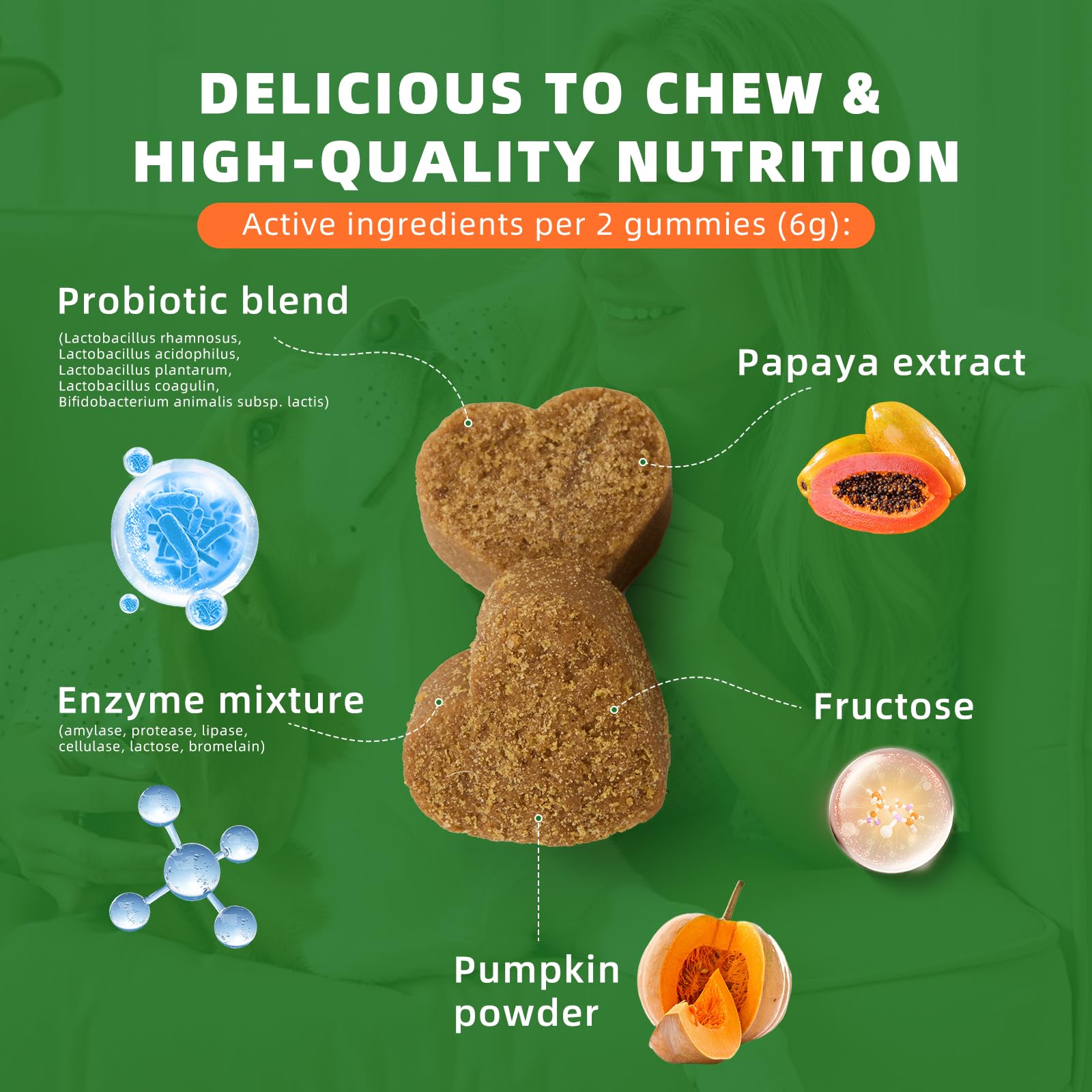 OurCares Gommes probiotiques pour chien après antibiotiques et changements diététiques.