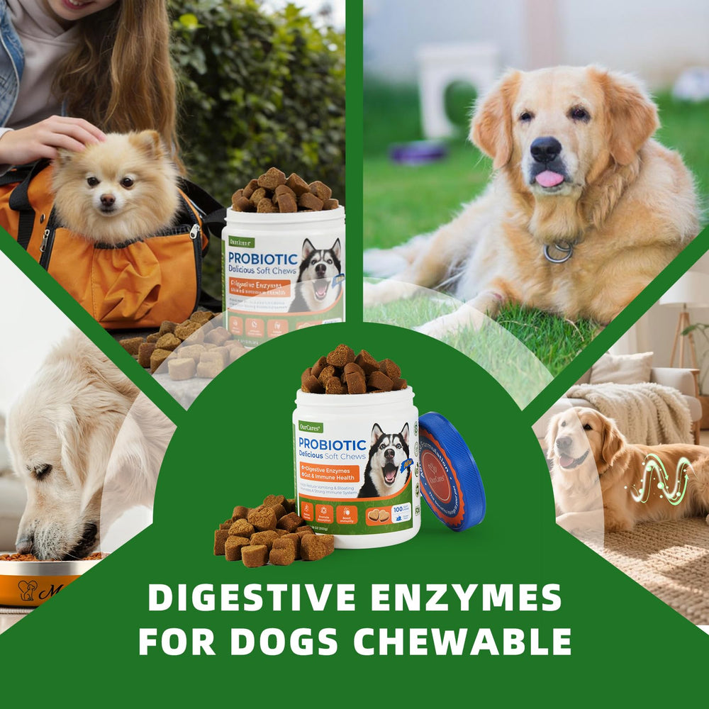 OurCares Gommes probiotiques pour chien, enzymes digestives améliorant l’absorption.