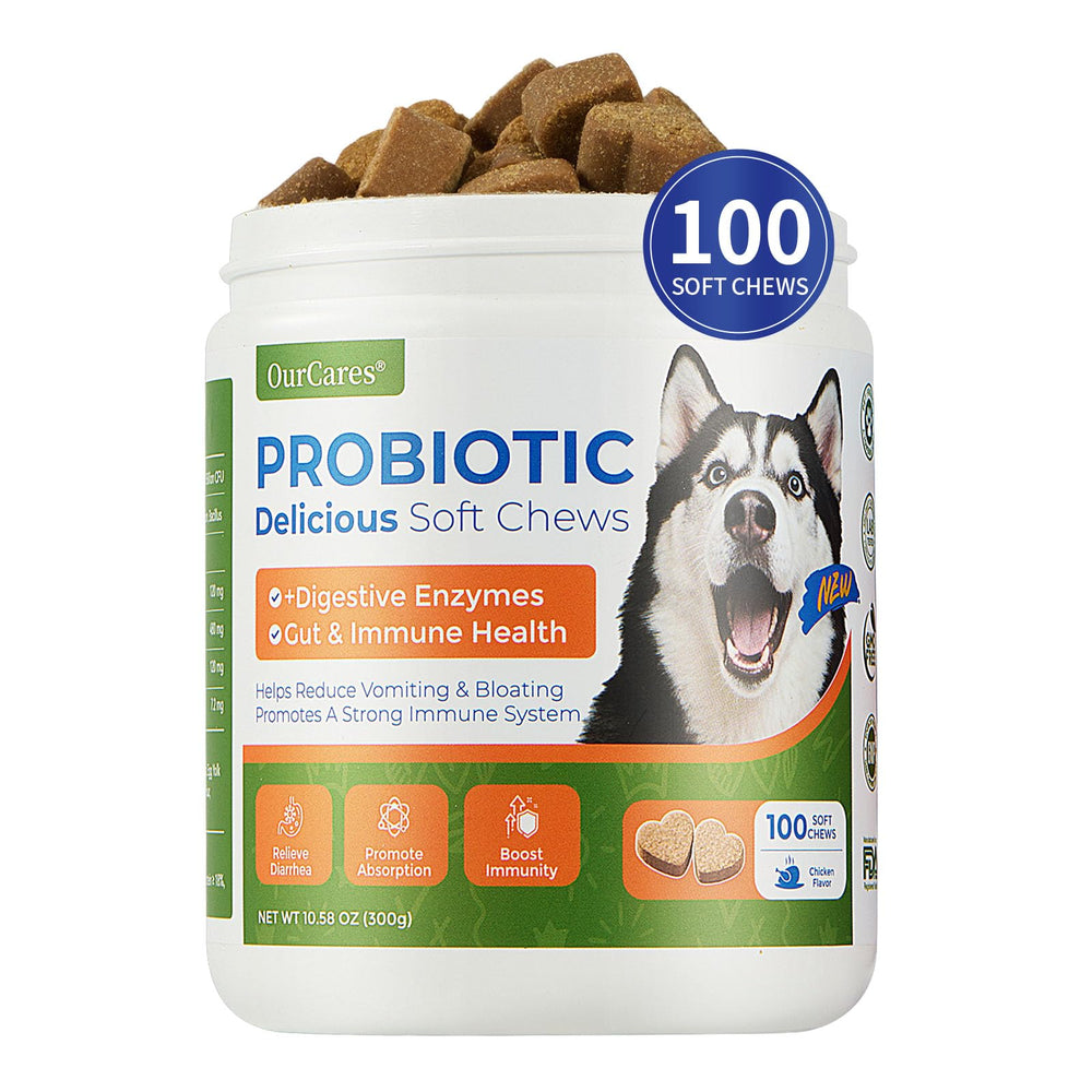 OurCares Gommes probiotiques pour chien goût poulet, soutien digestif quotidien.