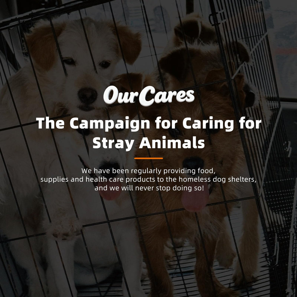 OurCares Gommes probiotiques pour chien prise facile, mastication agréable.