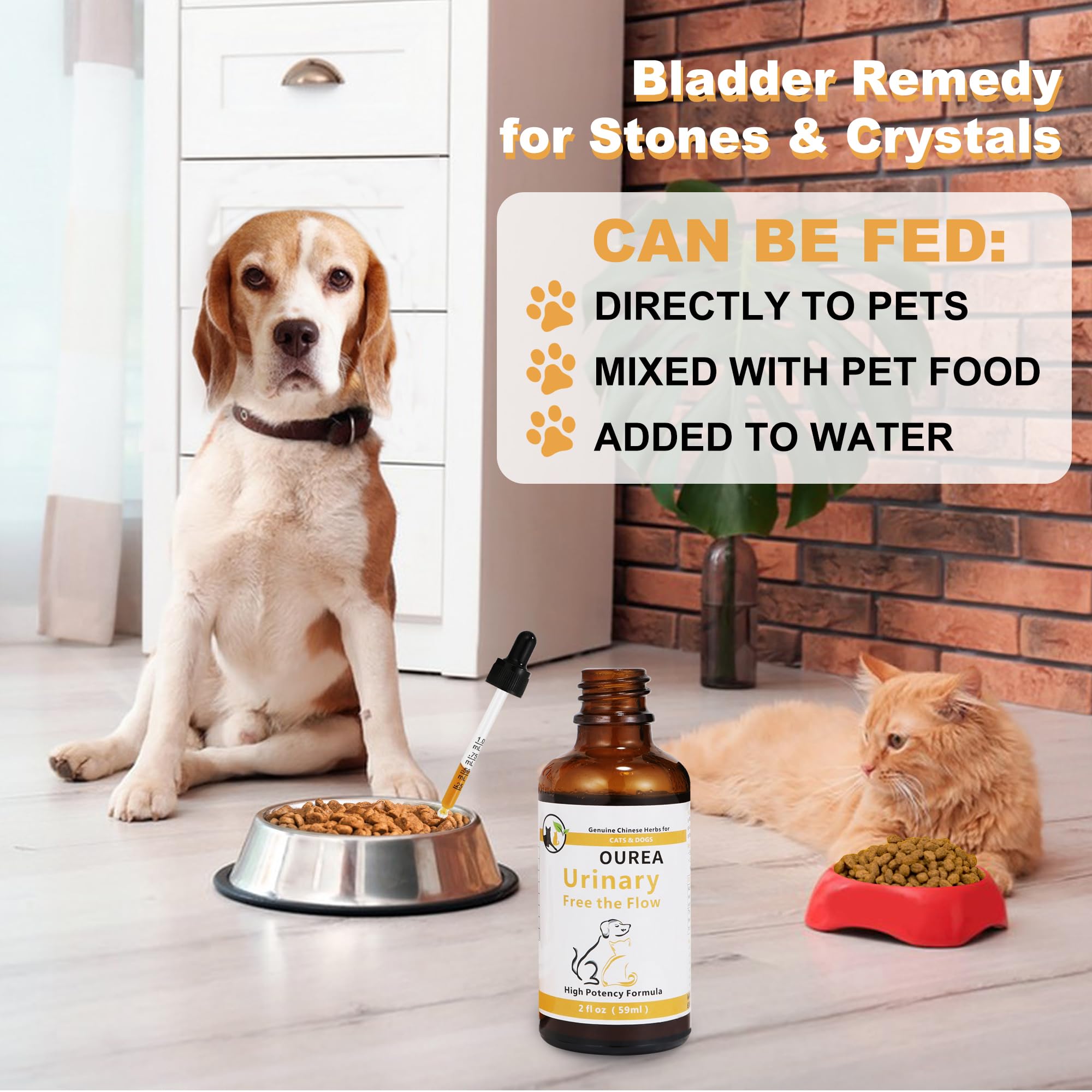 Utilisation adaptée chiens et chats avec Ourea.