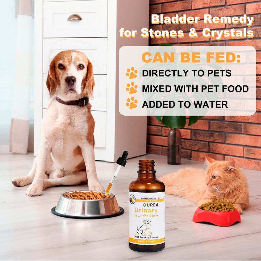 Utilisation adaptée chiens et chats avec Ourea.