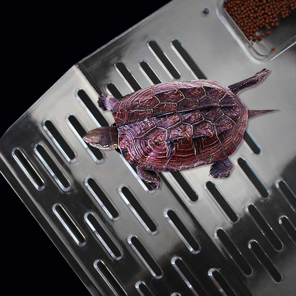 ourjob observation-tortue-habitat-transparente optimise le suivi des déplacements