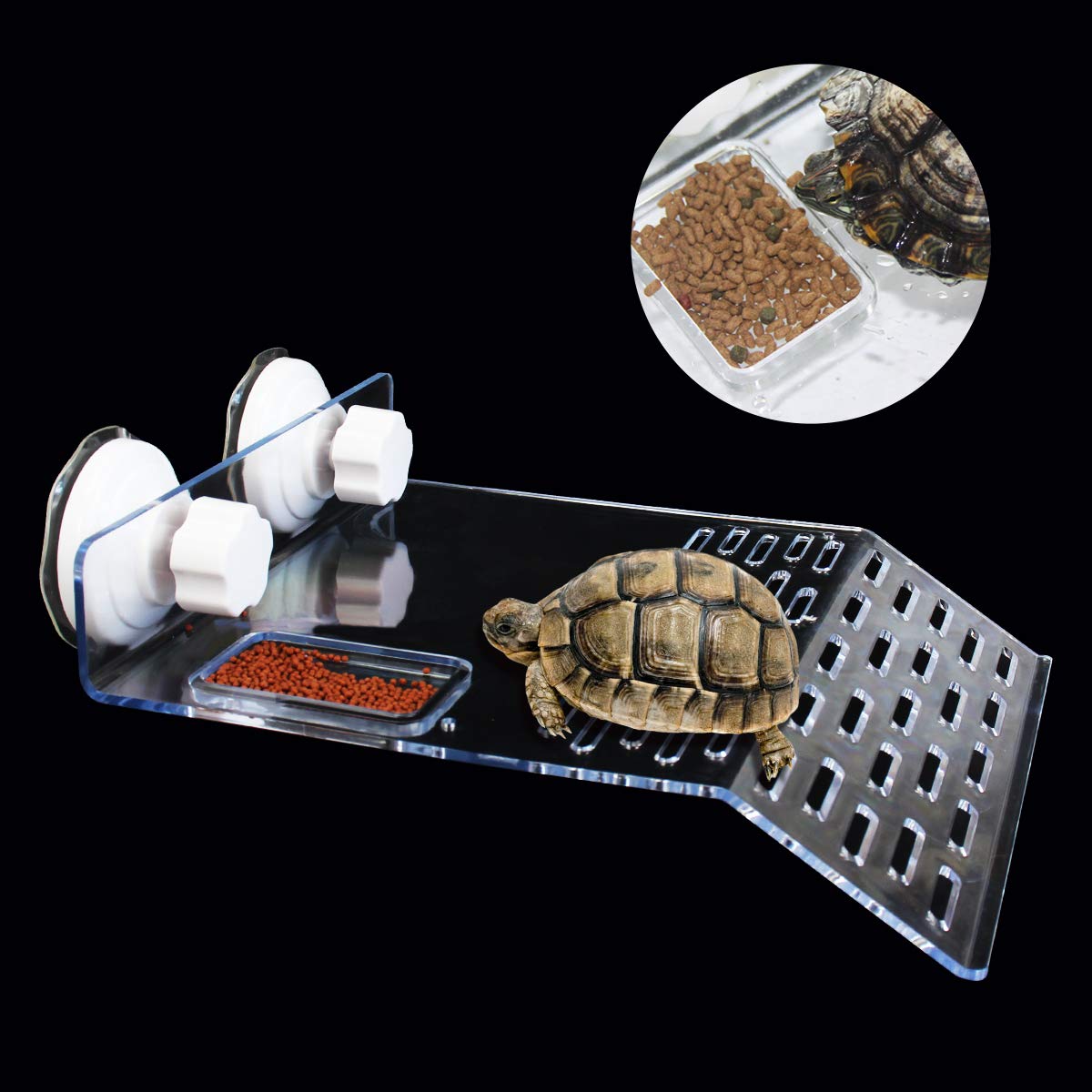 ourjob plateforme-tortue-en-etages-transparente favorise l’escalade naturelle et l’activité