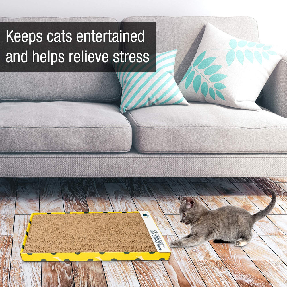 Our Pets Cosmic Cat Scratcher – face réversible pour double utilisation pratique