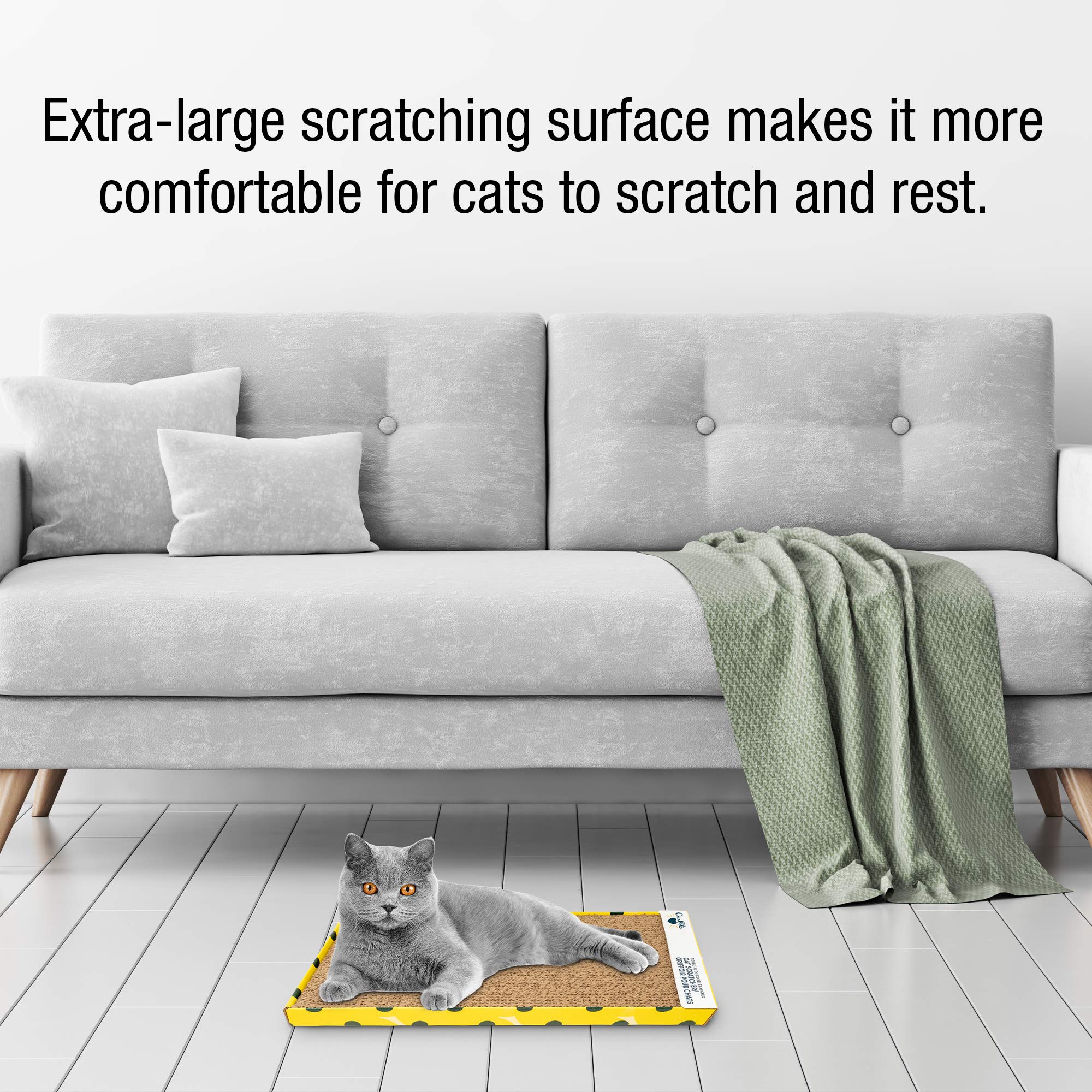 Our Pets Cosmic Cat Scratcher – redirection des griffages des meubles vers le griffoir
