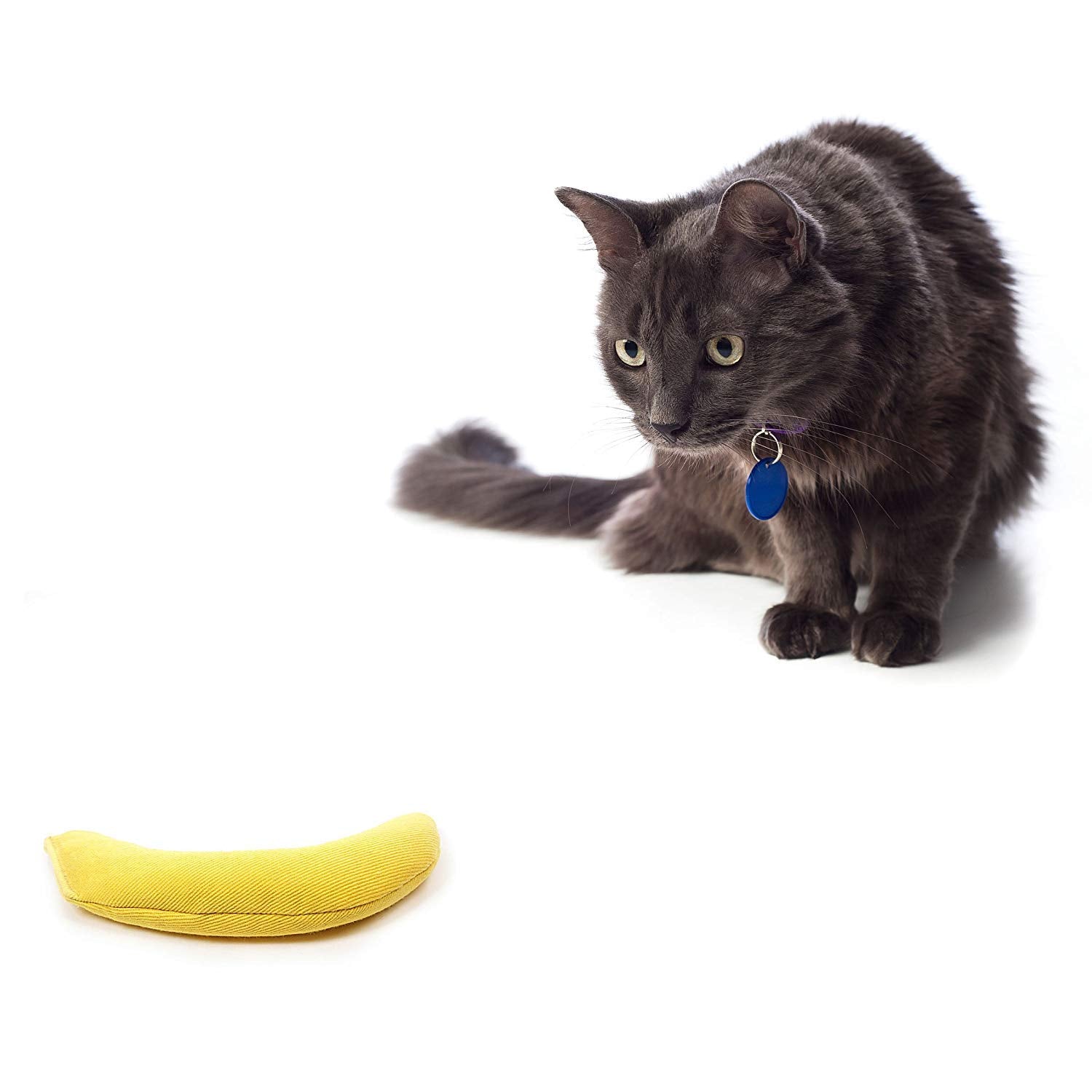OurPets Cosmic Serpent: jouet chat captivant l'attention et la curiosité