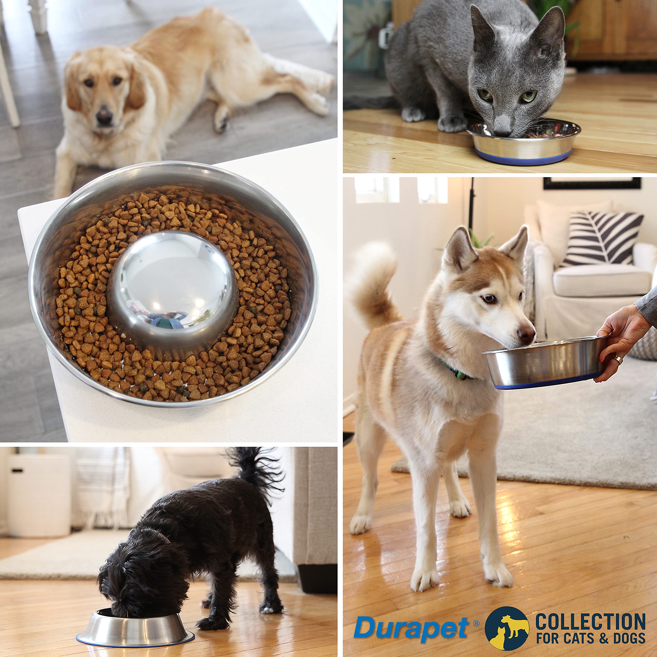Bol Our Pets DuraPet 11 tasses, grande capacité pour chiens de taille supérieure.