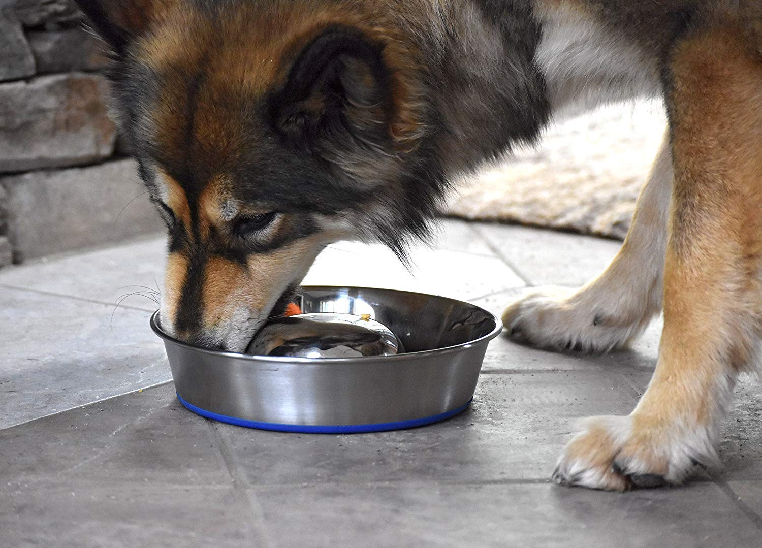 Bol OurPets DuraPet centre solide guide le chien durant le repas