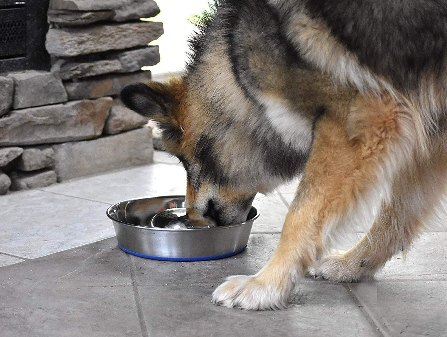 Bol OurPets DuraPet résistant à la rouille et hygiénique