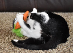 OurPets arôme intense d'herbe à chat attire le chat vers le jeu