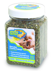 OurPets herbe à chat premium dans un pot, stimule le jeu et protège les meubles.